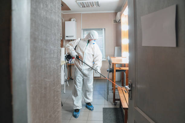 Best Mold-Related Health Consultation  in Pineville, KY