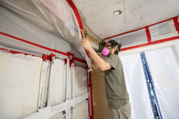 Best Dehumidification Services  in Pineville, KY