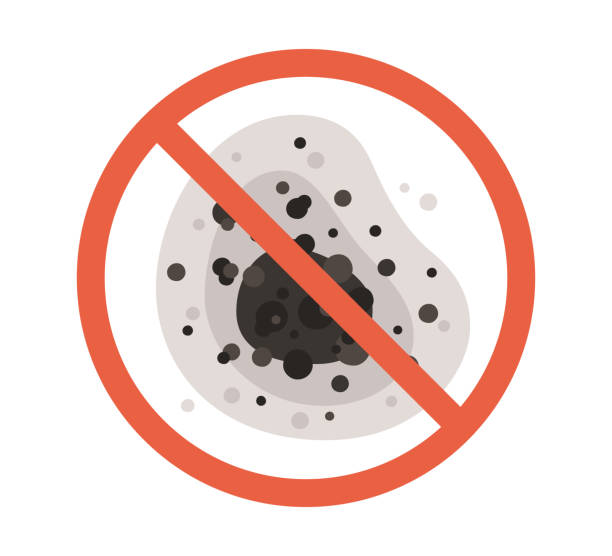 Best Forensic Mold Investigation  in Pineville, KY